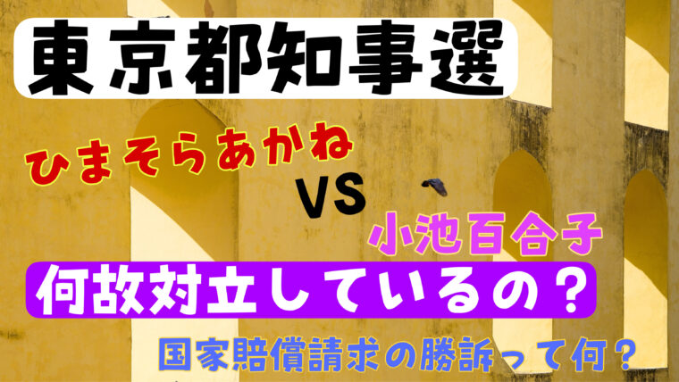 ひまそらあかねと小池百合子は何故対立しているの？国家賠償請求の勝利について紹介！