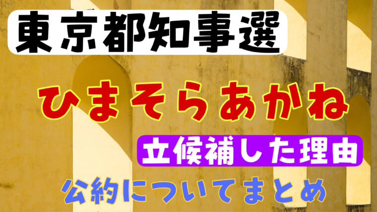 ひまそらあかねが東京都知事選に立候補した理由や公約についてまとめ