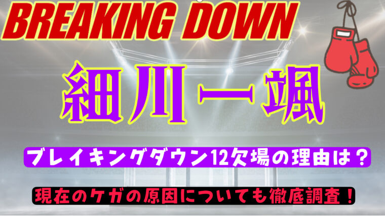 細川一颯は何故ブレイキングダウン12に出場していなかったの？怪我は大丈夫？