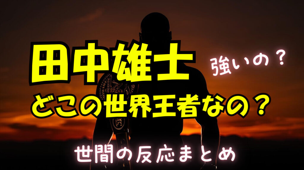 田中雄士はどこの世界チャンピオンだったの？結局強いのか世間の反応